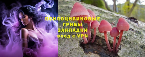 ешки Балахна